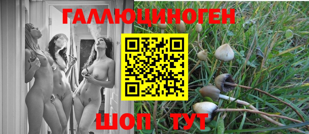 Псилоцибиновые грибы прущие грибы Волжск