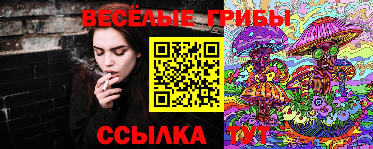 Волжск  Псилоцибиновые грибы прущие грибы  Вход с VPN  Псилоцибиновые грибы мухоморы 